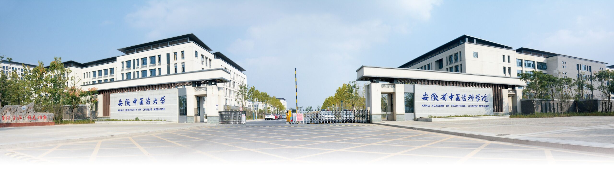 轮播图-安徽中医药大学